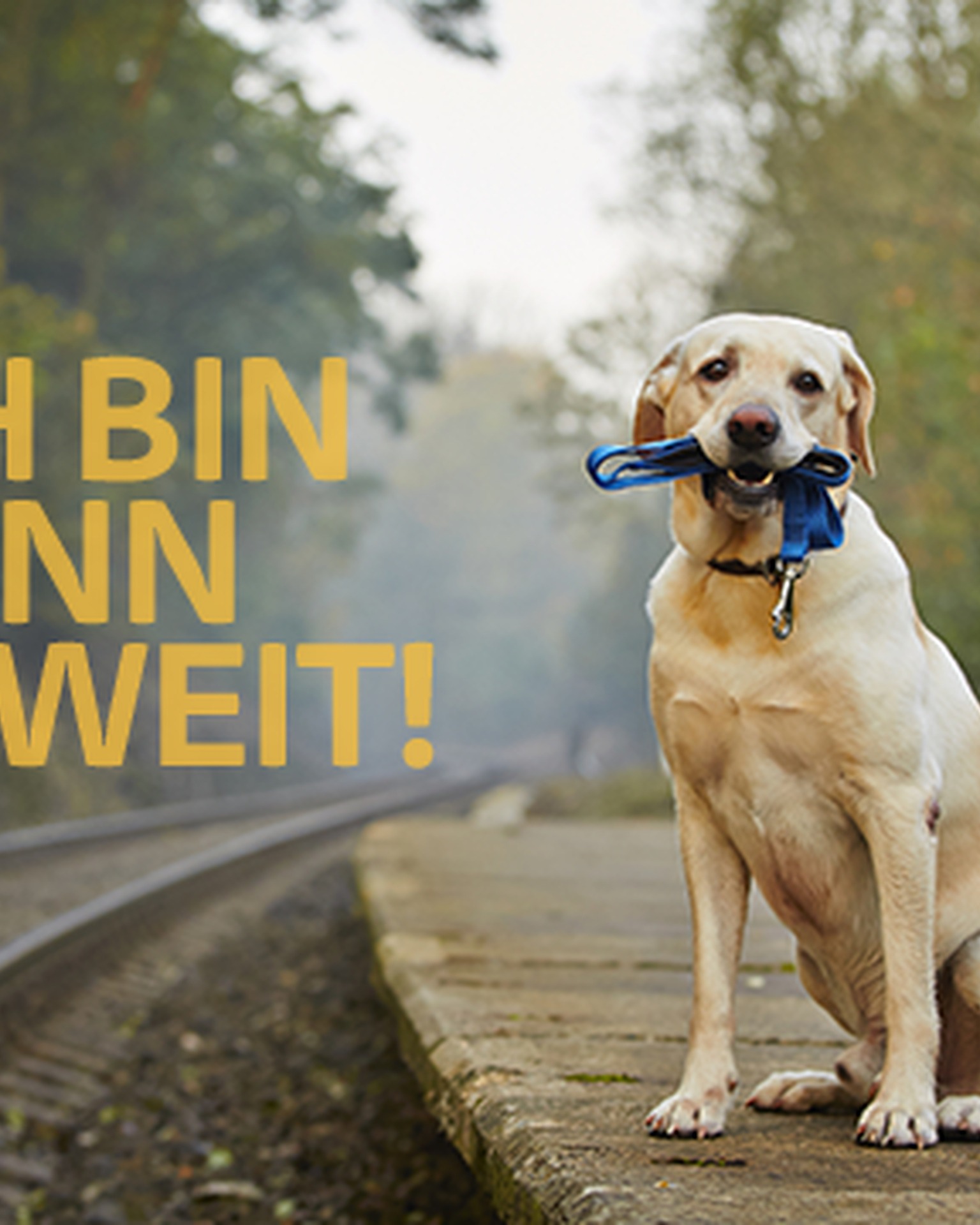 Hund-mit-Koffer.de - Ich bin dann soweit