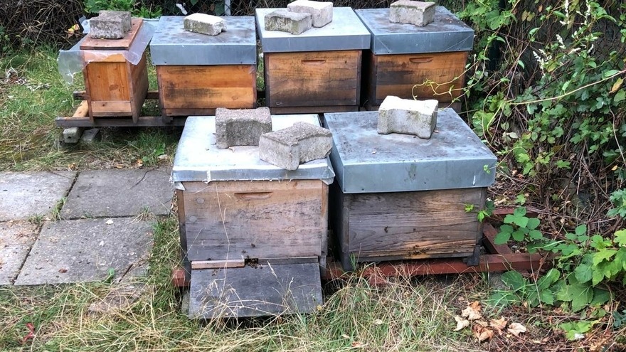 Bienenpatenschaft - Nathan Gardner - die Abholung unserer beiden Bienenvölker