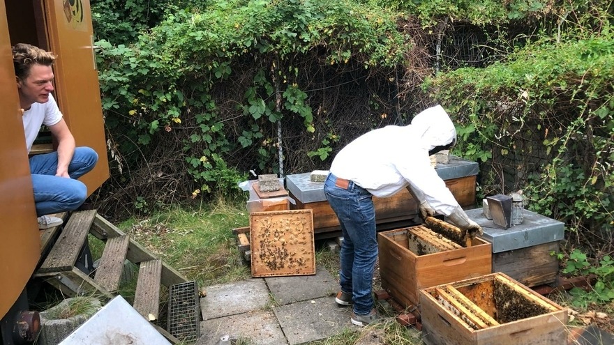 Bienenpatenschaft - Nathan Gardner - die Abholung unserer beiden Bienenvölker