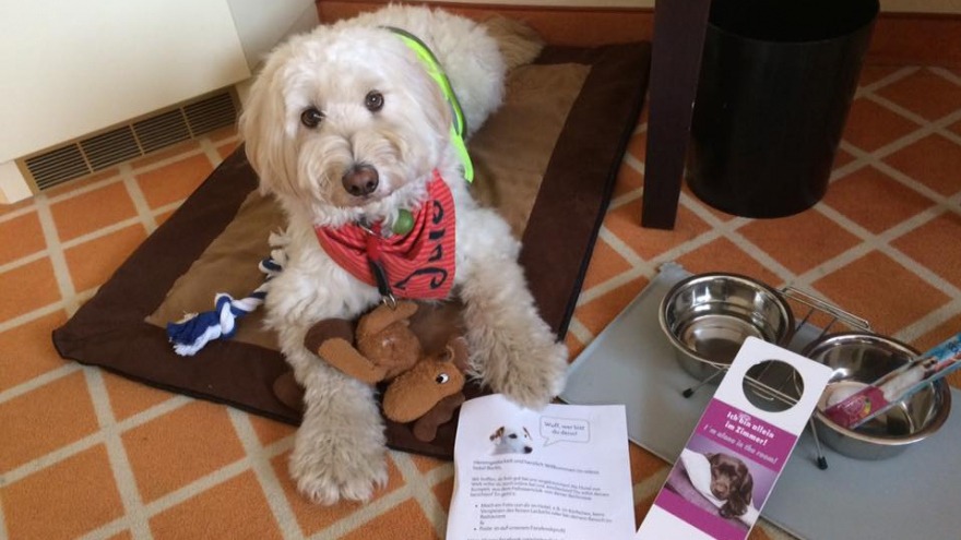 Assistenzhündin Jule im Einsatz - check in: 18. März 2016