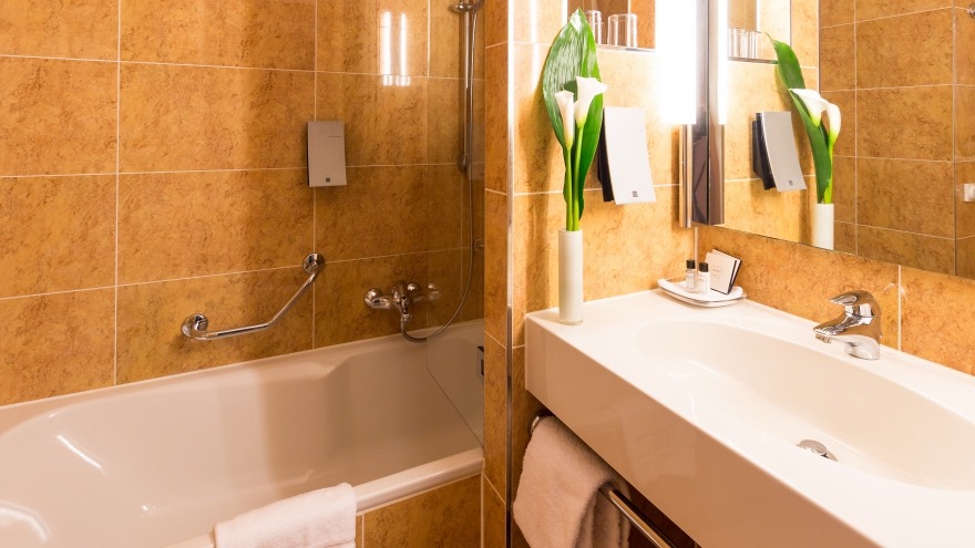 bathroom in our superior category