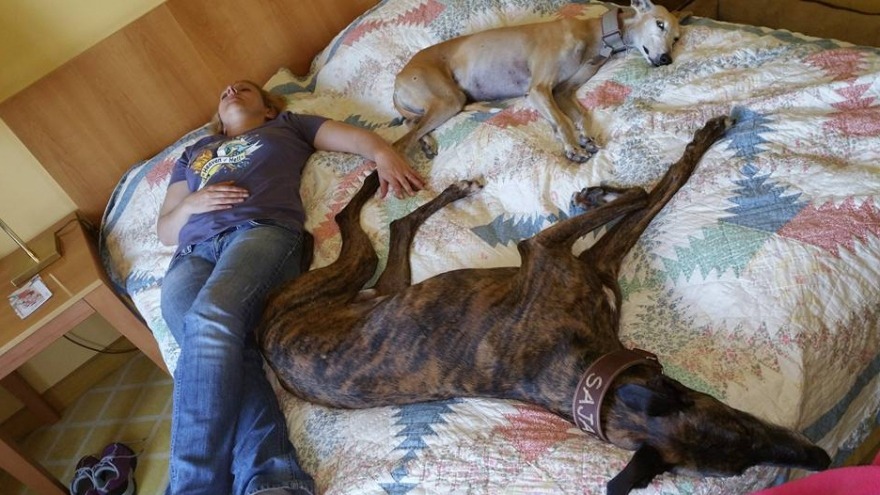 Teva und Sajan relaxen - check in: 6. Mai 2016