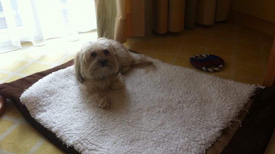 Cara Mia wieder zu Gast bei uns - check in: 28.Januar