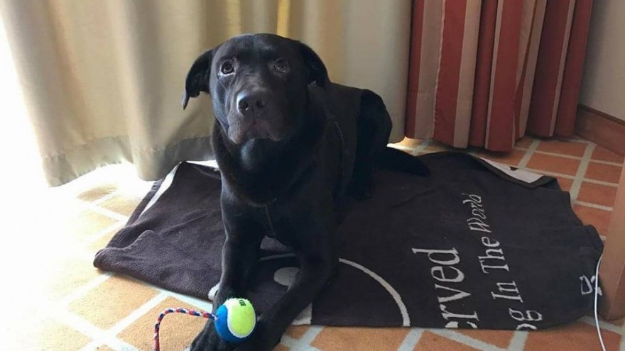 Charlie Check In 12.03.2017