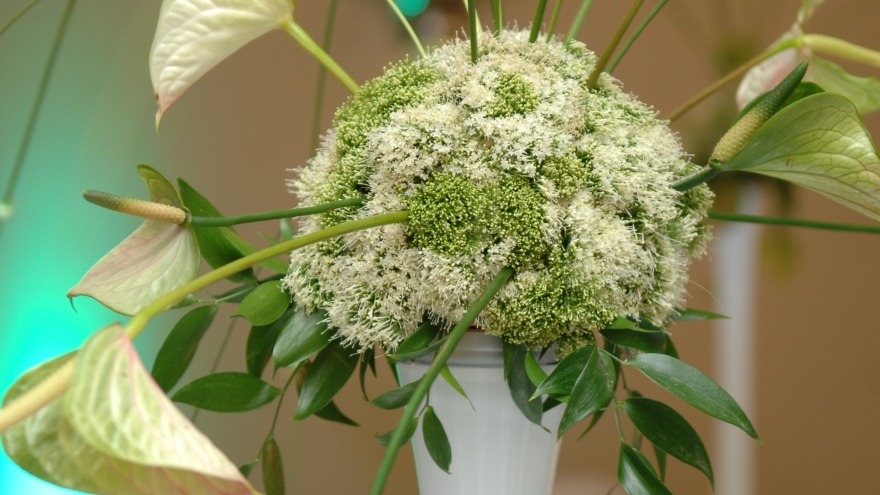 relexa hotel Berlin - Event decoration