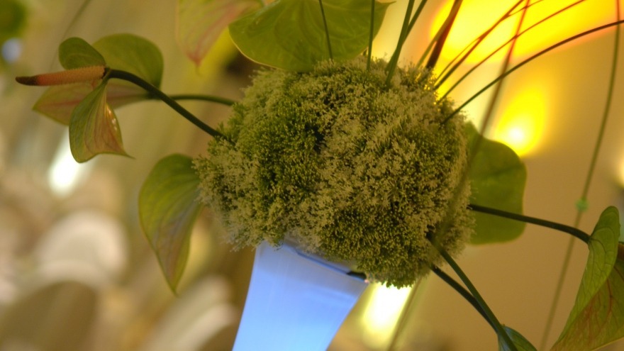 relexa hotel Berlin - Decoration