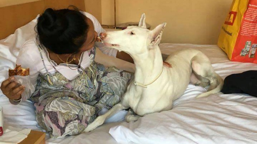 neugierige Fellnase - check in: 28. Mai 2016