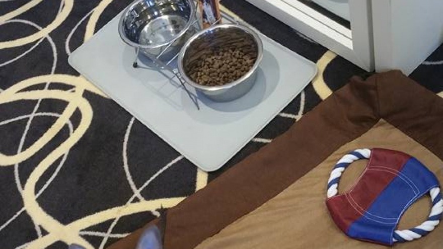 Fellnase von Corinna check in am 04.Oktober 2016