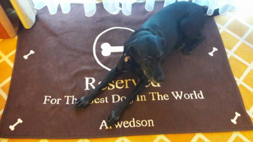 Die Fellnase von Maren checkte im Oktober bei uns ein