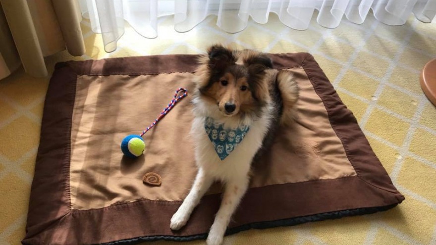 Ginny sagt vielen Dank