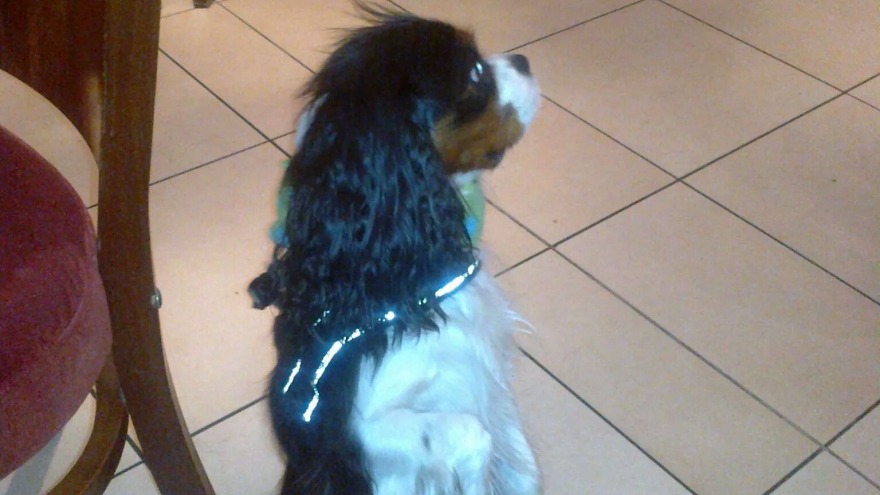 Snoopy hat uns im März 2015 besucht