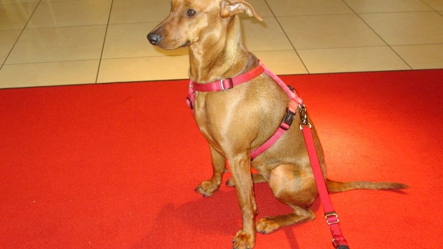 Jaska - check in im Oktober 2016