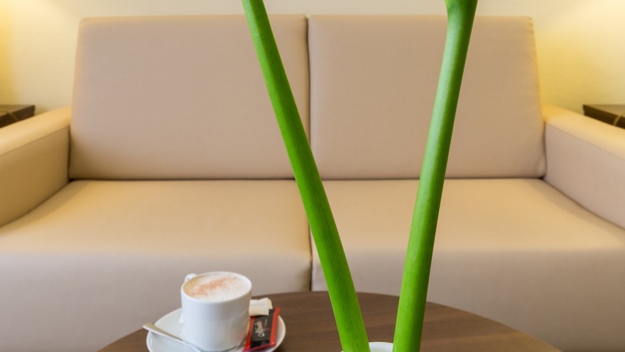 comfort in our Junior Suites