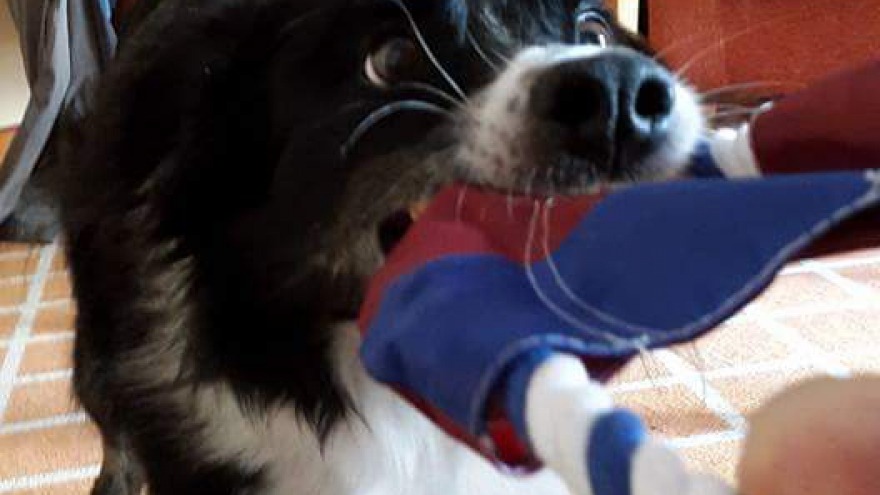 Lenny testet gleich sein neues Spielzeug