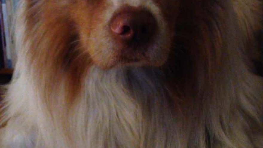 Linus bedankt sich für seinen Gutschein beim Team vom relexa hotel Berlin