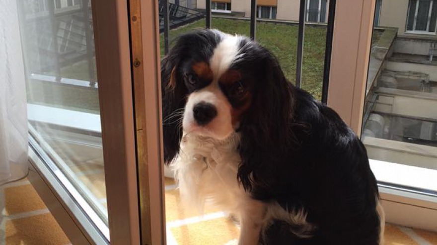 Lore fühlt sich wohl - check in: 17. April 2016