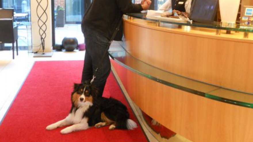 Luis - check in: 16. Januar 2015