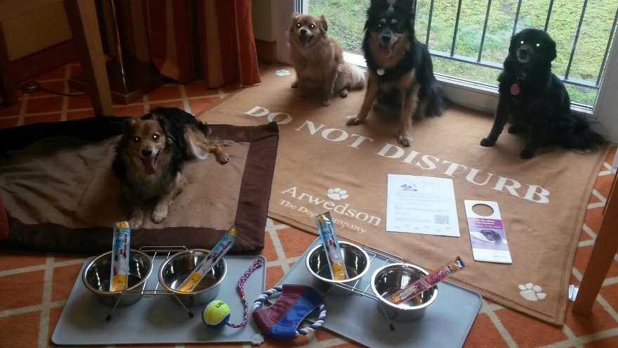 Luna & ihre Freunde Mini, Teta und Espinete