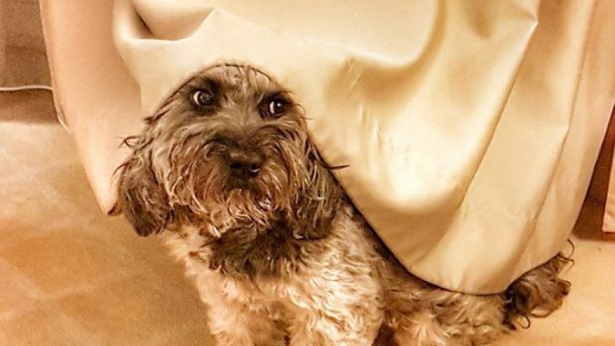 Marty Mc Fly mit herrschaftlicher Kopfbedeckung