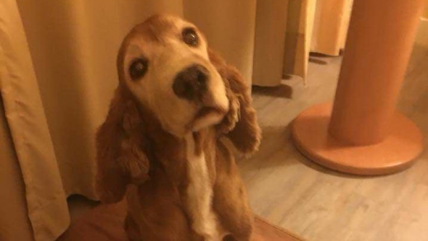 Muto hat sich wohlgefühlt, Check In 05.11.2017