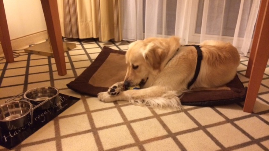 Otto - check in: 02. Januar 2015