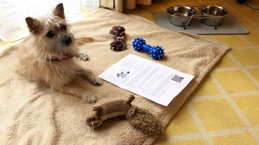 Paula hat uns am 04.04.2015 über Ostern besucht