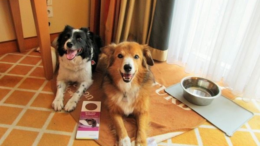 Pearl & Cloud checkten im Oktober 2015 ein