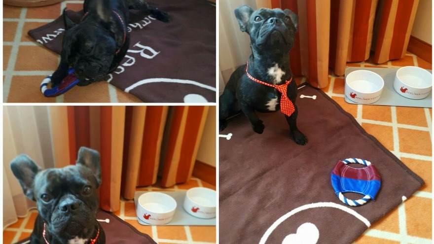 Pumba zu Gast im relexa