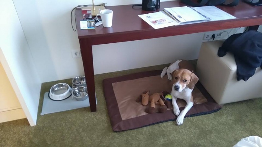 Rambo checkte im Dezember 2016 ein