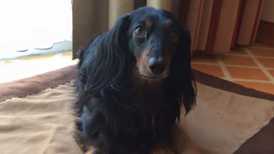 niedliche Schnüffelnase - check in: 25.07.2016