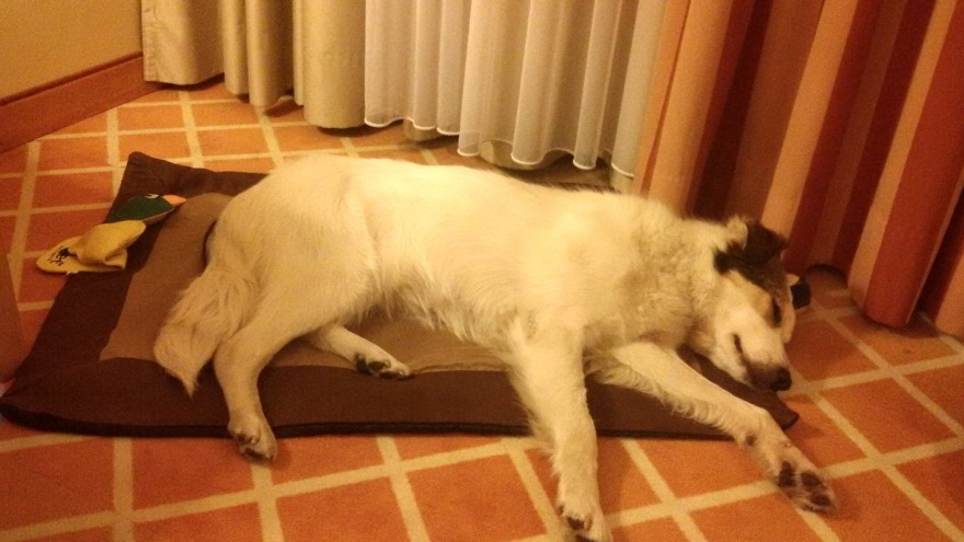 Sie nannten Ihn Mücke - check in: 27. Mai 2016