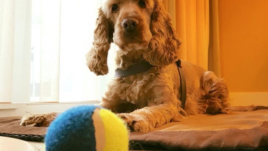 Spielzeug entdeckt - check in: 03.03.2018