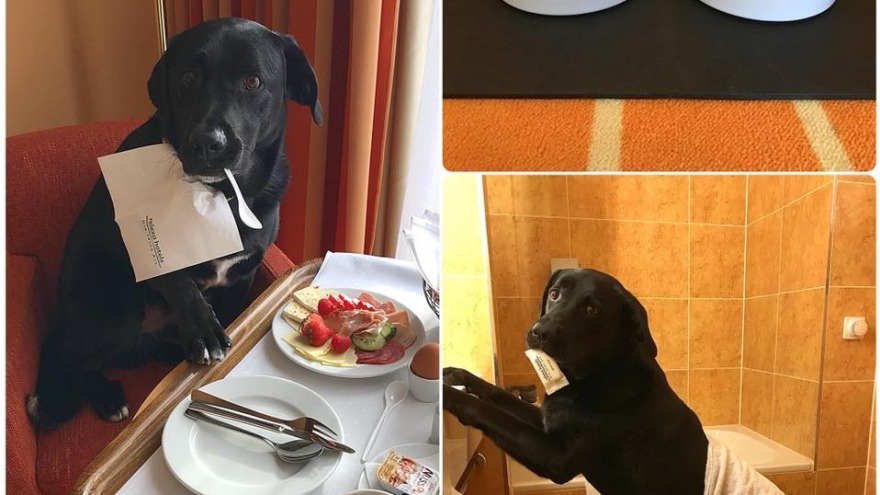 Stammgast Timo. Check In 17.10.2017