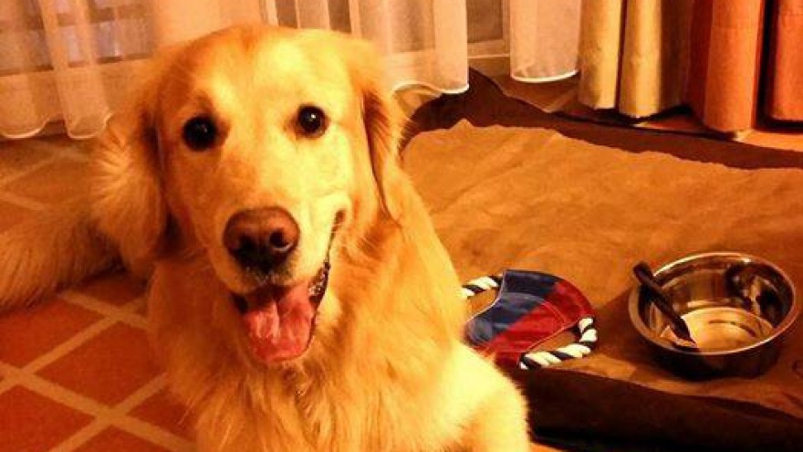 Quedo - check in: kurz vor Weihnachten 2014