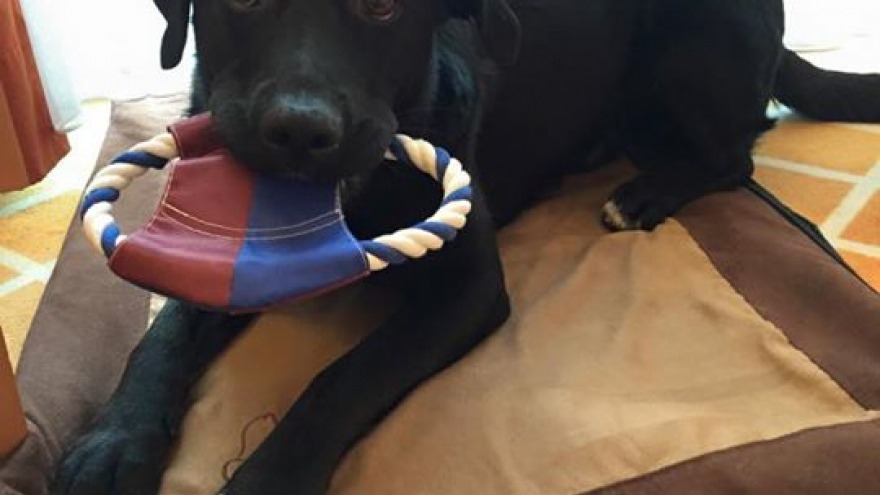 Timo check in 25. Mai 2015