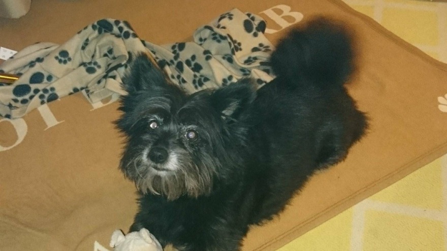 Uschi in der Hauptstadt, Check In 25.01.2018