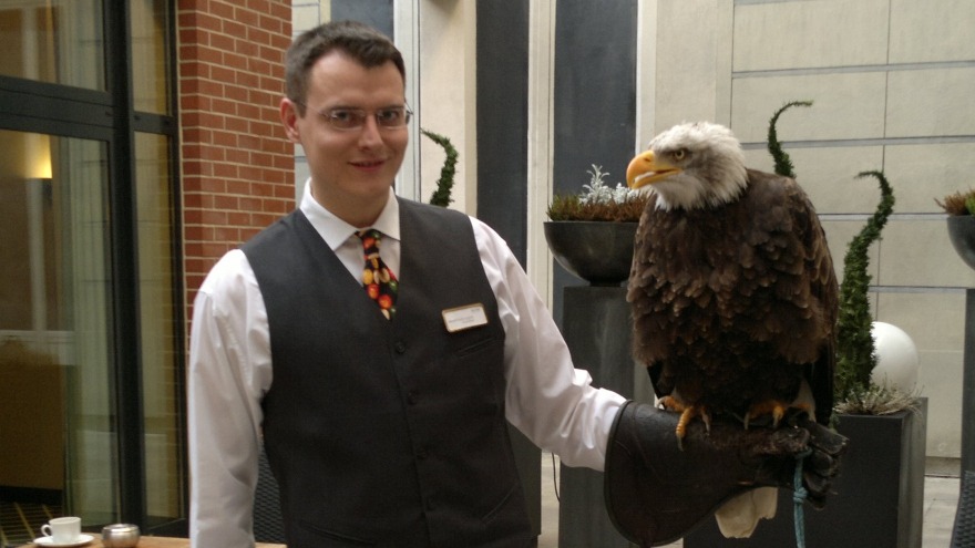 Weißkopfseeadler im relexa hotel Berlin